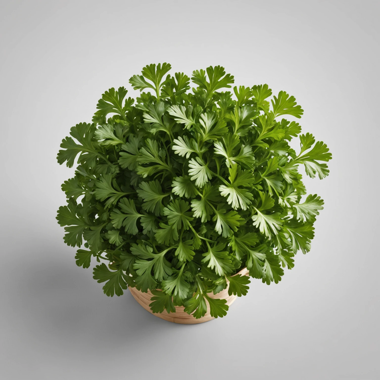 Fresh Parsley recommended for Casserole Mediterranean Eggplant and Chickpea Bake with Tahini Drizzle
